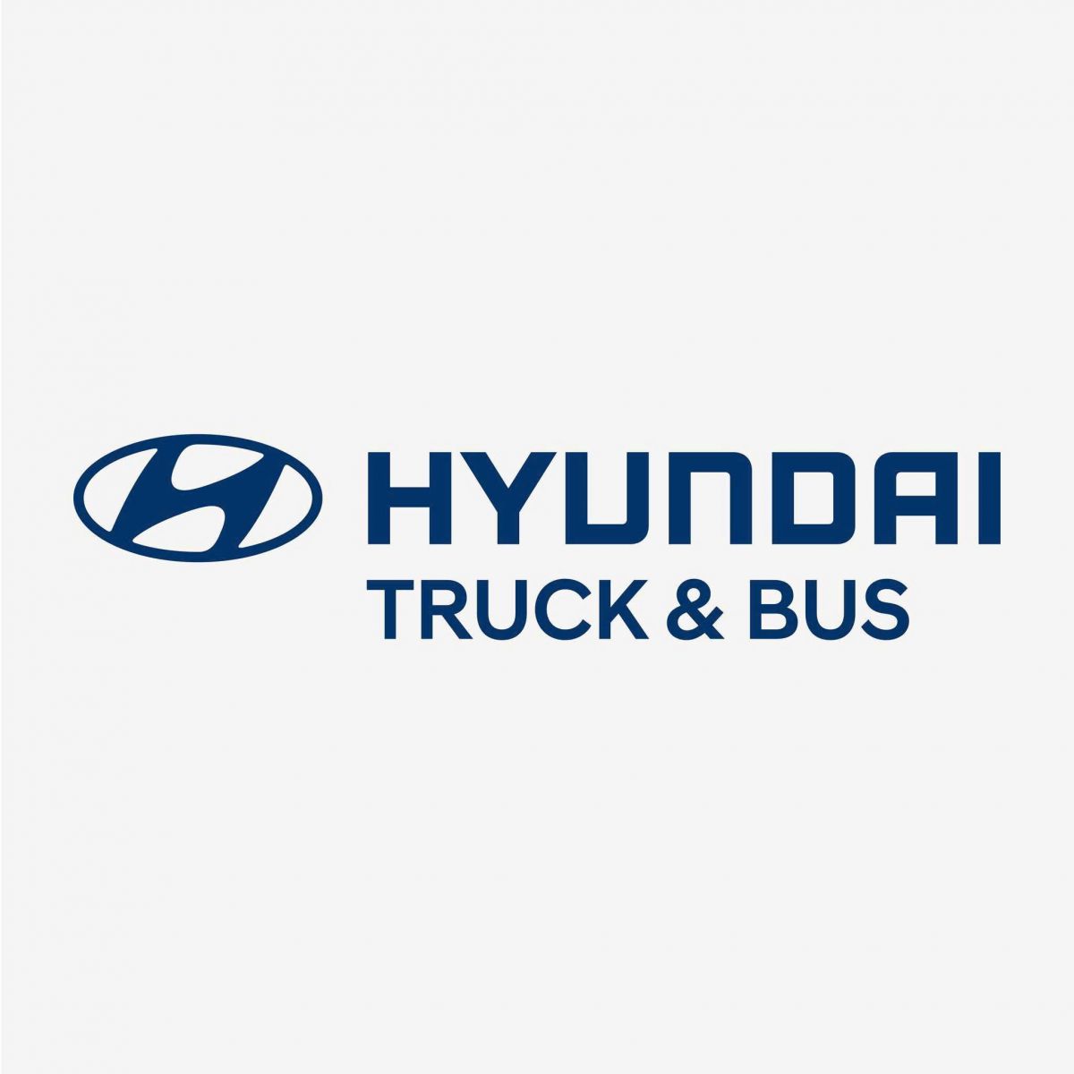 Hyundai Tây Nam - Đại Lý Ủy Quyền Của Hyundai Thành Công		Việt Nam	